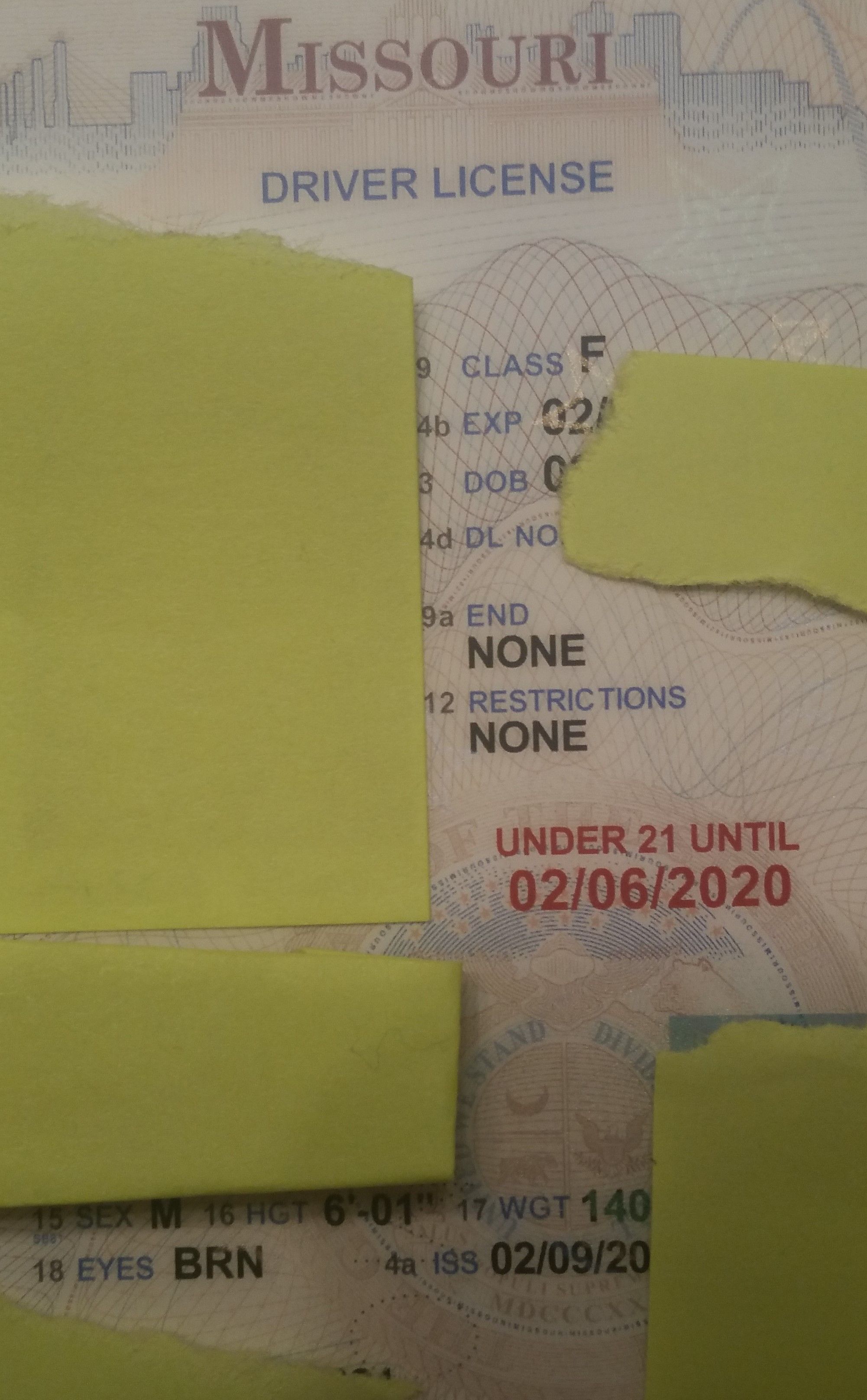 Review image