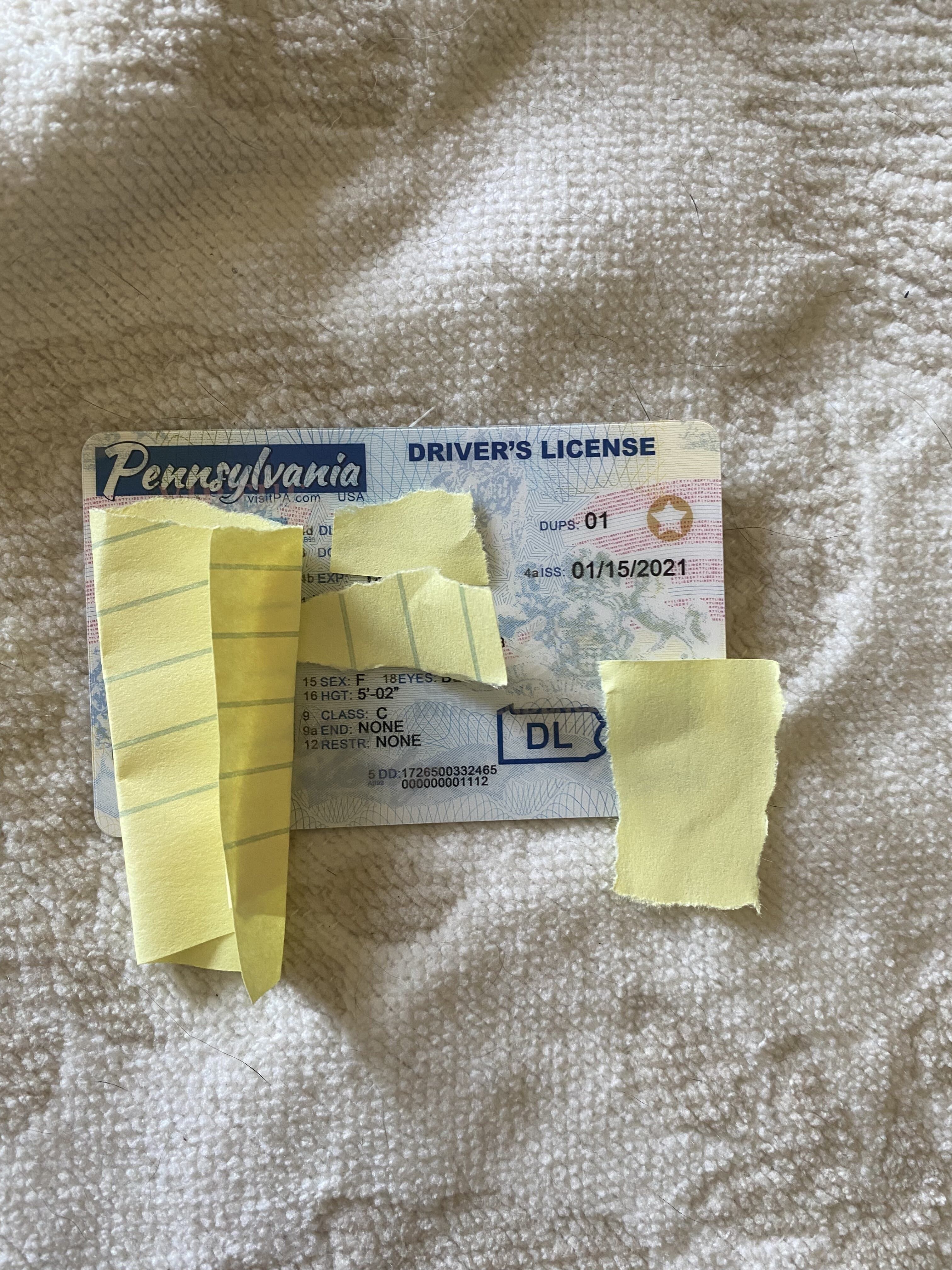Review image